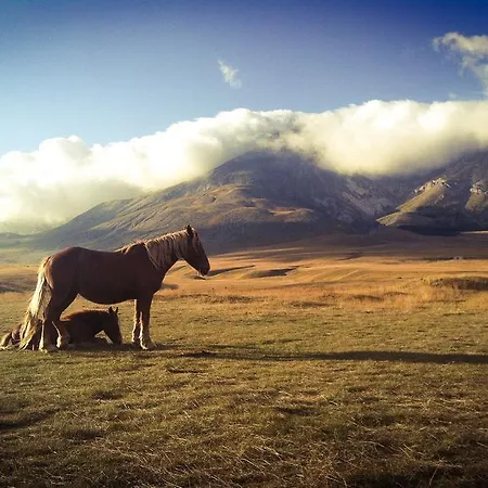 Bed & Breakfast Amerigo Vespucci Pescara