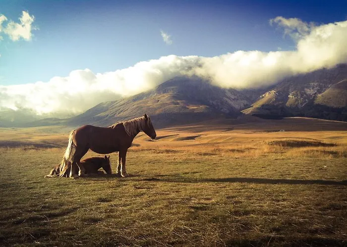 ベッド・アンド・ブレックファスト Amerigo Vespucci ペスカーラ